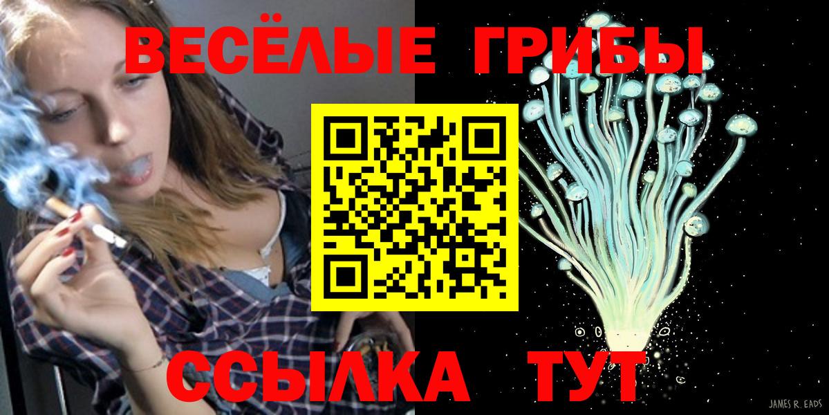 Галлюциногенные грибы MAGIC MUSHROOMS Нерюнгри