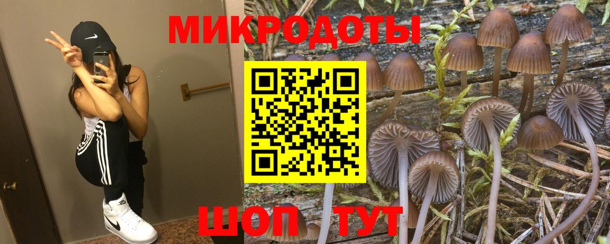 Псилоцибиновые грибы прущие грибы  Вход с VPN  Нерюнгри  Галлюциногенные грибы GOLDEN TEACHER 